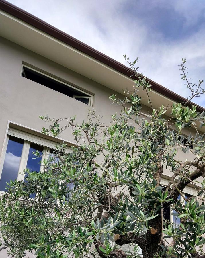 La Locanda Francigena Bed and Breakfast Lucca Exterior foto